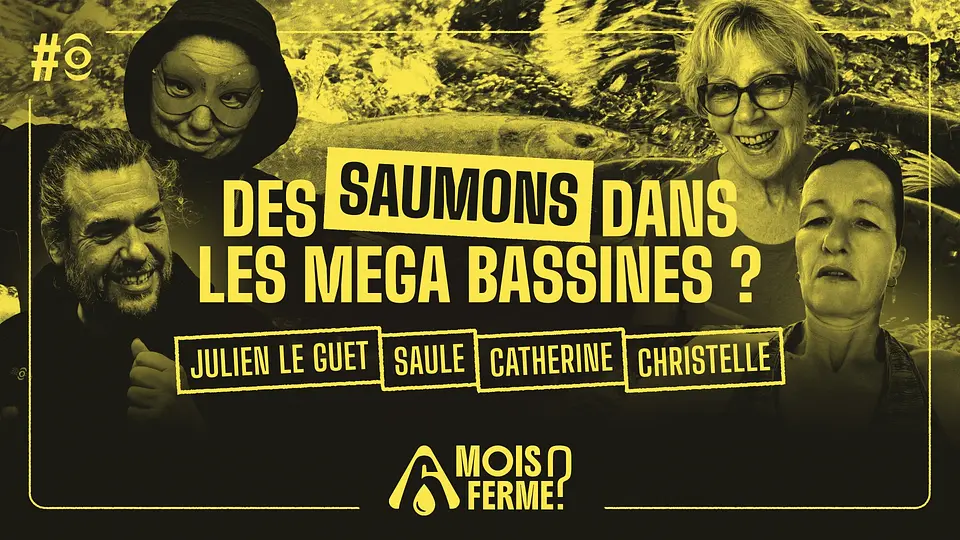 Des saumons dans les méga bassines ?