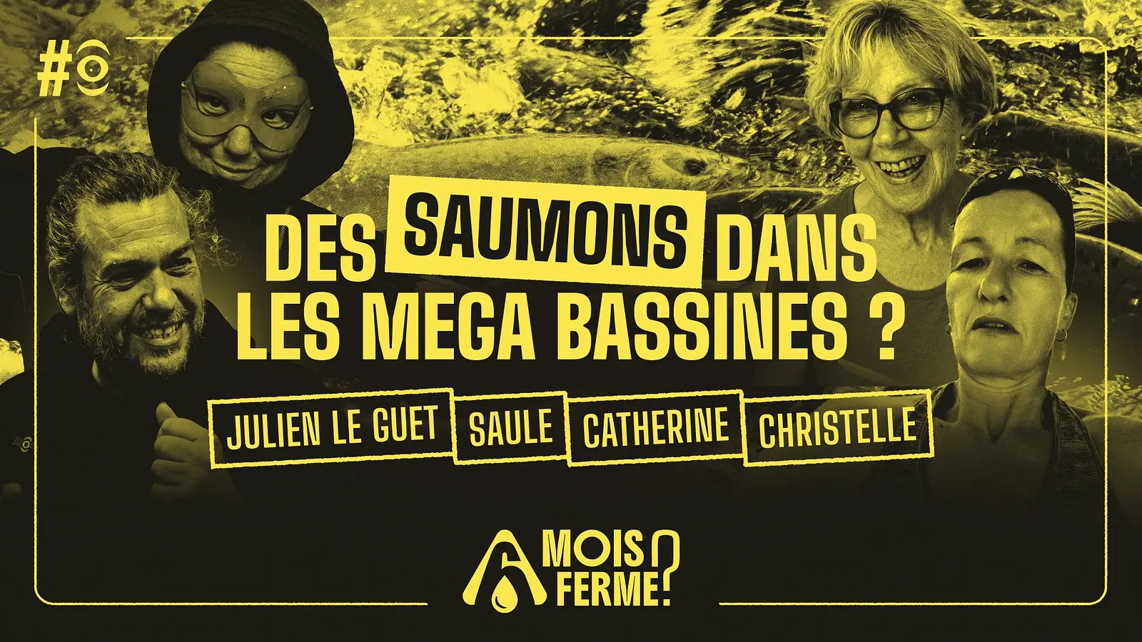 Des saumons dans les méga bassines ?
